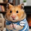 kevinthehamster6
