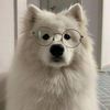 its.ployx
