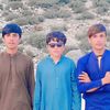 zshankhan804