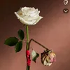 بەیبوون
