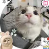 livekimcomnha