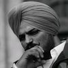 aqeel.462