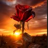 flordefuego969