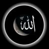 user81599918700603