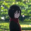 ln4kaseeackerman