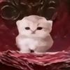femboclyf6e