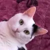 catherine.deneuvi