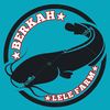 berkah.lelefarm