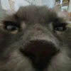 breupatku