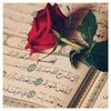 noorulhidayat12