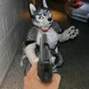 ryderdobbs2