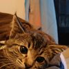 nyla6296