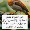 qwertyuiop.qwerty6012