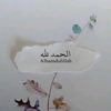 djelaldjelal87