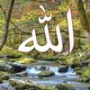 user5991920877615