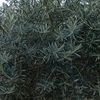 _labwayn.7