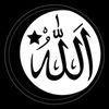 abbasovam87