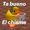 lachismosa693