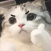 ameuo.nnx