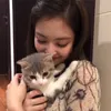 olijennie