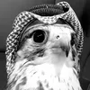 ali158176