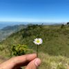 soempoerna.offici