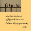 zoelay9083