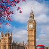 londonvibes56