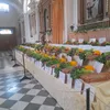emanuelaorlando1