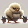 pollito345588