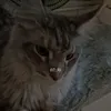 tiasni1112