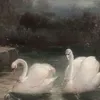 ha1_a21