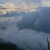 alyaaroha_