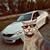 phyo.mg.mg62