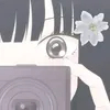 _meowcatt
