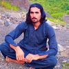 gull.roshan.gulli