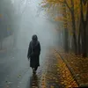 m.shafqat991