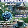tuan.r97
