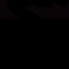 ortex_9x