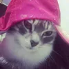 rixixxxg