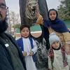 ibrahim.kamal618