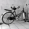 edosurya501