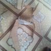user75595518368720