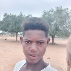 user3294561043305