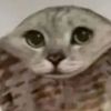 c.ozy_cat