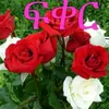 srgota.ahmed