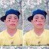 danican08