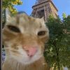 tqaken4awmmu