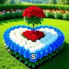 user648110711