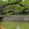 b.xinh.p885